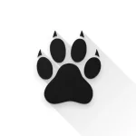 icon_nyBsozCF19DxPPeK3OSO-Aqw9qsckNSMymntDVZ-5-4=.webp icon_nyBsozCF19DxPPeK3OSO-Aqw9qsckNSMymntDVZ-5-4=.webp