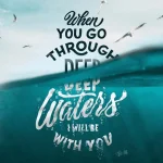 1685416196048.webp