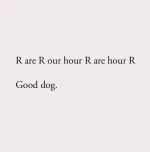 FB_IMG_1685449392505.webp