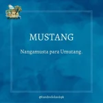 1685520732411.webp