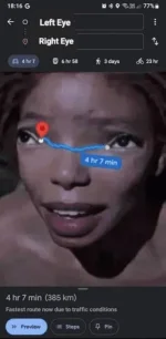 1685583844314.webp