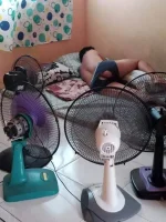 solid init kita pwet.webp