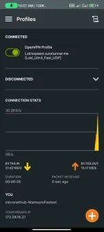 Screenshot_2023-06-02-10-57-02-301_net.openvpn.openvpn.webp