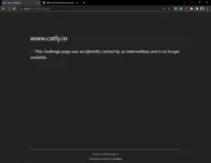 1685796228475.webp