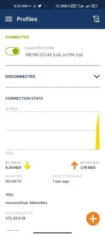 Screenshot_2023-06-03-06-24-28-391_net.openvpn.openvpn.webp