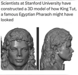 1685778255912.webp
