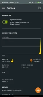 Screenshot_2023-06-04-18-59-53-680_net.openvpn.openvpn.webp