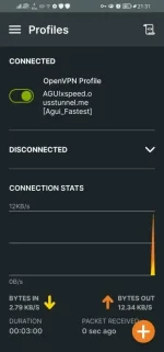 Screenshot_20230604_213152_net.openvpn.openvpn.webp