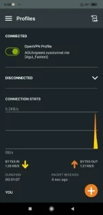 Screenshot_2023-06-05-04-58-35-082_net.openvpn.openvpn.webp