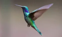 Screenshot_2023-06-07-09-13-29-687.webp