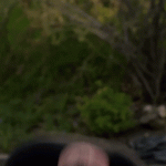 received_790340555930962.gif received_790340555930962.gif