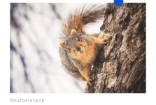 IMG_20230610_091458.webp IMG_20230610_091458.webp