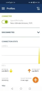 Screenshot_20230610_193037_net.openvpn.openvpn.webp