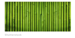 Screenshot_2023-06-10-23-41-38-008.webp