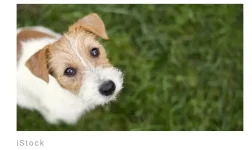 Screenshot_2023-06-10-23-44-55-768.webp