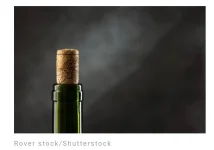 Screenshot_2023-06-10-23-57-37-519.webp
