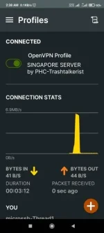 Screenshot_2023-06-12-02-38-01-288_net.openvpn.openvpn.webp