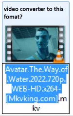 video converter to this fomat.webp