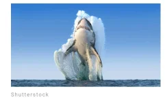 Screenshot_2023-06-13-09-38-55-480.webp Screenshot_2023-06-13-09-38-55-480.webp