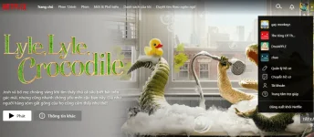 n2.webp