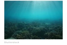 Screenshot_2023-06-13-16-52-03-527.webp