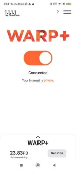 Screenshot_2023-06-15-16-54-24-256_com.cloudflare.onedotonedotonedotone.webp