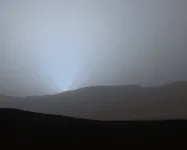 1686920116823.webp