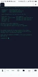 Screenshot_2023-06-17-21-14-27-080_com.server.auditor.ssh.client.webp
