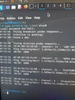 16870891246827586720258192641462.webp
