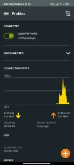 Screenshot_2023-06-21-16-25-22-745_net.openvpn.openvpn.webp