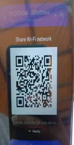 1684558562478.webp