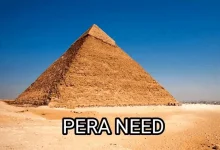 1687394411432.webp