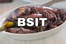 355614557_301513545565898_3312447378004805438_n.webp