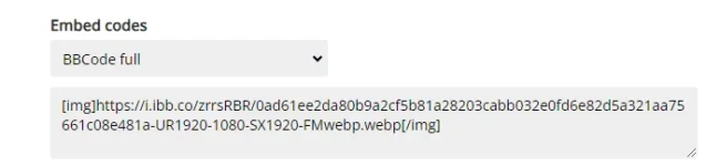 1687692921139.webp