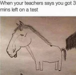 355661741_661705929332780_7818474563746384126_n.webp