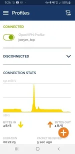Screenshot_20230629-092636_OpenVPN Connect.webp