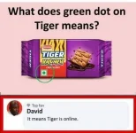 356385087_663718349131538_2200049942304391112_n.webp