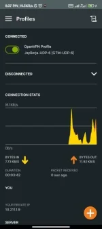 Screenshot_2023-06-29-20-37-49-366_net.openvpn.openvpn.webp