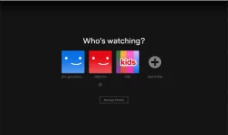 netflix.webp netflix.webp