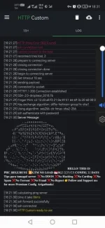 Screenshot_20230702_183105_xyz.easypro.httpcustom.webp