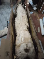 1688312014549.webp