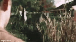 7r5y98.gif 7r5y98.gif