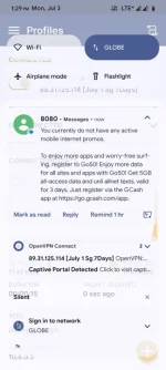 Screenshot_20230703-132957_OpenVPN Connect.webp