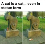 341857691_724066019509541_1145417071575122234_n.webp