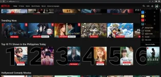 netflixxxxx.jpg
