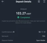 Screenshot_2023-07-04-23-48-20-151_com.binance.dev-edit.webp