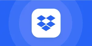 1688631306606.webp