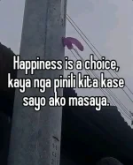 1688656164211.webp