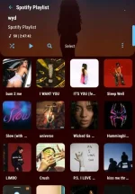 Screenshot_20230707_160918_Poweramp.webp
