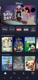 Screenshot_20230708_235904_com.disney.disneyplus_edit_243866481846642.webp